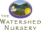 The Watershed Nursery logo